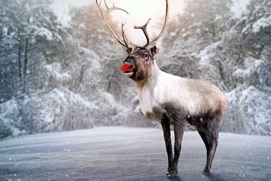 5-Life-Lessons-from-Rudolph-the-Red-Nosed-Reindeer-MainPhoto